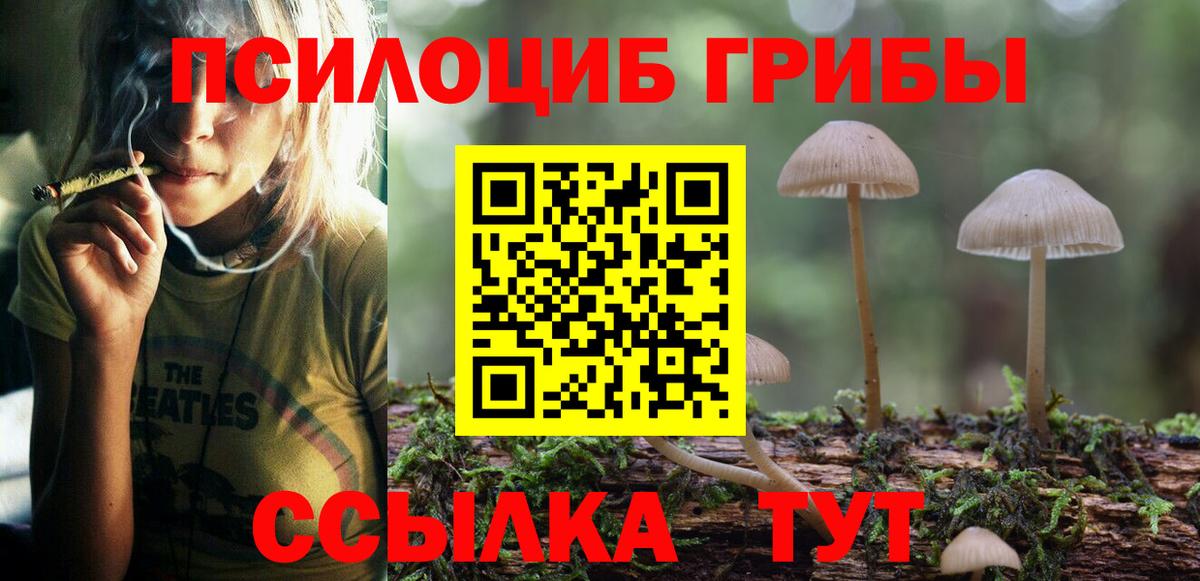 Псилоцибиновые грибы ЛСД  Вход с VPN  Коммунар 